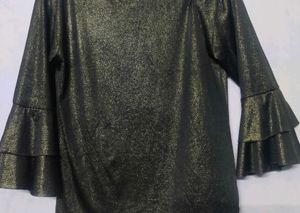 Sparkly Ruffle Sleeve Top