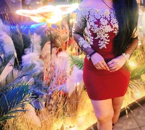 Off-Shoulder Sheer Sleeve Dress