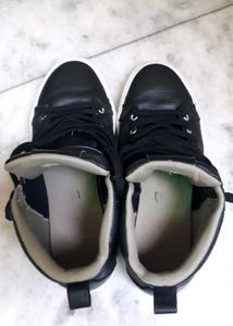 Converse Sneakers