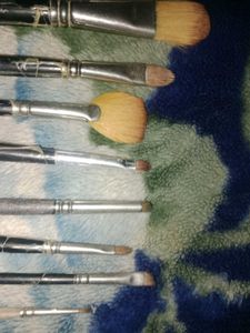 Makeup Brush Set