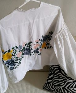Zara Smart Casual Floral Embroidered Top