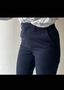 Uniqlo Ankle Length Formal Pants