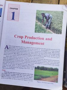 Combo Books Class 8