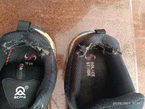 ACME Trekking Shoes
