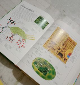 Visual Dictionary