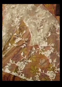 Net Embroidered Dupatta