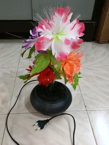 Beautiful Showpiece