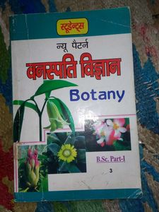 Bsc 1st Year
