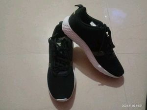 New Sport Shoes