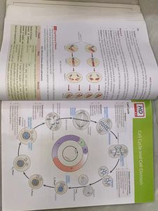 MTG Objective NCERT at your FINGERTIPS Biology