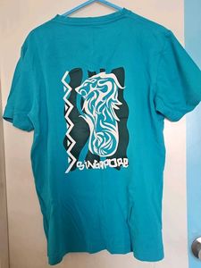 Teal Singapore Graphic T-Shirt | Short Sleeve Tee