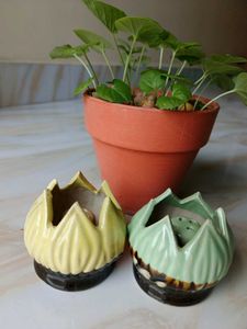 Lotus Flower Agarbatti Holders