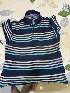 Champion Striped Polo Shirt