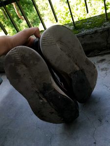 Grey Sports Shoe