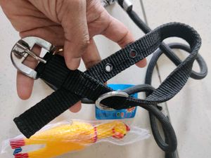 Pet Leash &amp; Toy Set