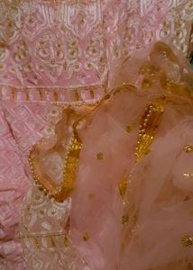 beautiful Baby Pink Colour Anarkali Duppta