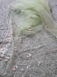 Beautiful Net Saree Without Blouse