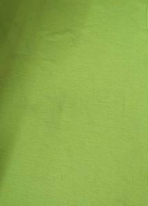 Beautiful Hot Green Top/ Tshirt