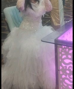 Elegant Non  Bridal  Gown