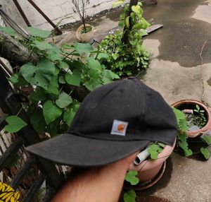 Carhartt Cap