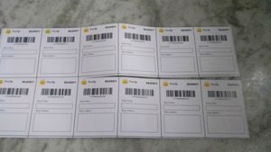 6 Shipping Labels (Sticker)