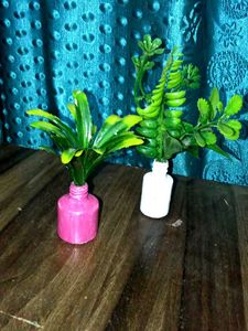 2 Flower Pot ,2inch