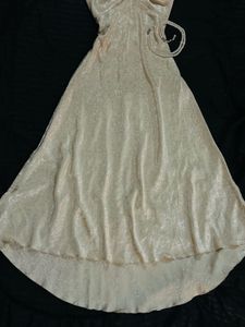 Vintage Champagne Dress🌙