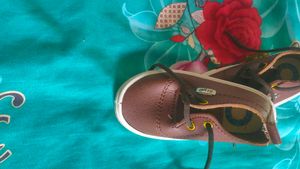 fancy colour shoes