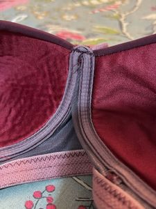 Padded Brassiere From Clovia