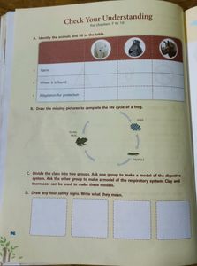 Science Magic Class 4