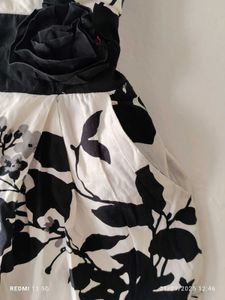 Floral Print Mini Dress
