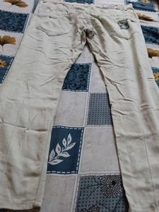 Beige Casual Trousers