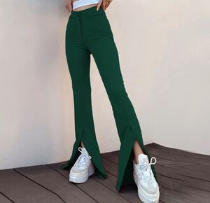 Green Trouser Straight Fit Pants With Slit Cut End