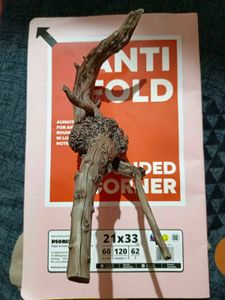 Aquarium Driftwood