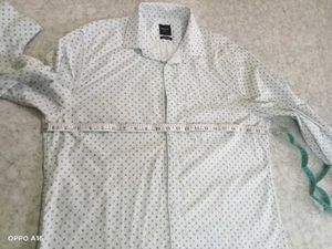 Shirt 👕 (Max)