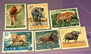 RARE 1963 WILDLIFE Full Set