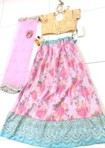 pastel pink And Blue Cute Lahenga✨