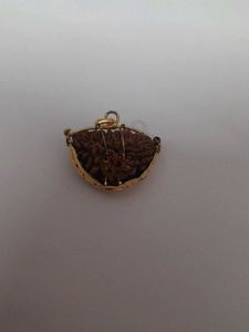 New Unused Ek Mukhi Rudraksha Pendant+free Chain