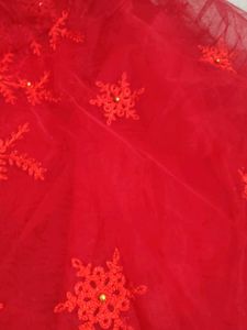 Red Net Saree Beautiful