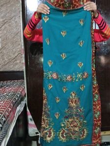 Net and Georgette half-n-half