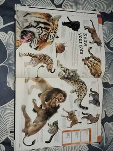 General Knowledge Genius Book