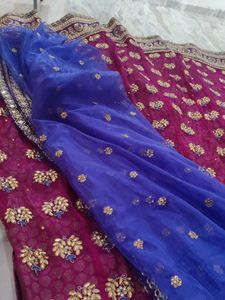 Elegant lehenga and dupatta NO BLOUSE