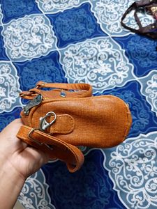 Brown Handbag
