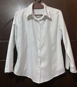 Basic Fitted Shirt