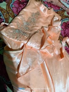 Elegant Ethnic Peach Gown 🎀