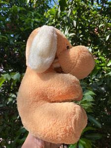Teddy Bear