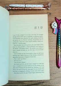 Haruki Murakami Book