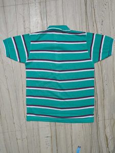Striped Green Polo Shirt