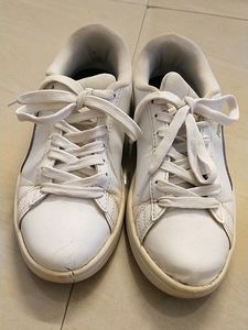 Puma Shoe