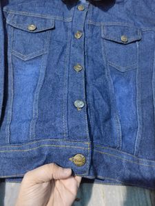 New stylish shorts Denim